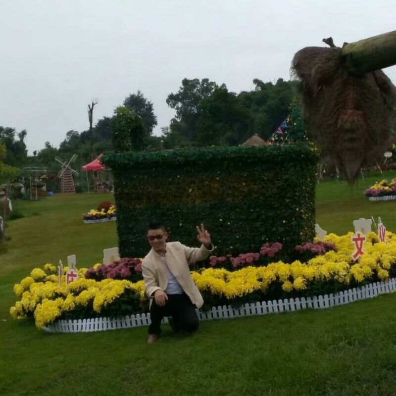 春风里^O^任徜徉的第一张照片--武平相亲网