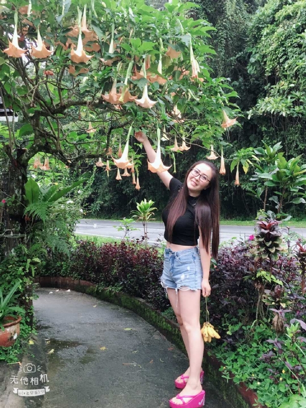 离异单身无子的第二张照片--武平相亲网