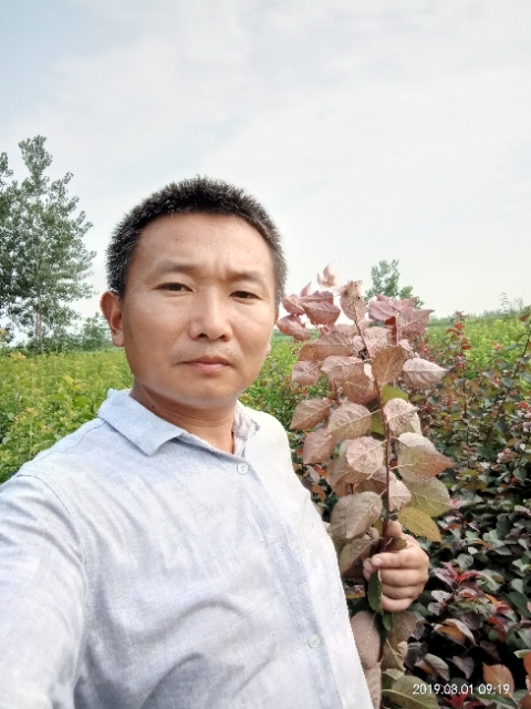 孩子爸的第一张照片--武平相亲网