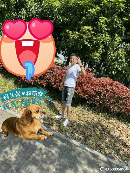 我若不坚强谁替我勇敢的第一张照片--武平相亲网