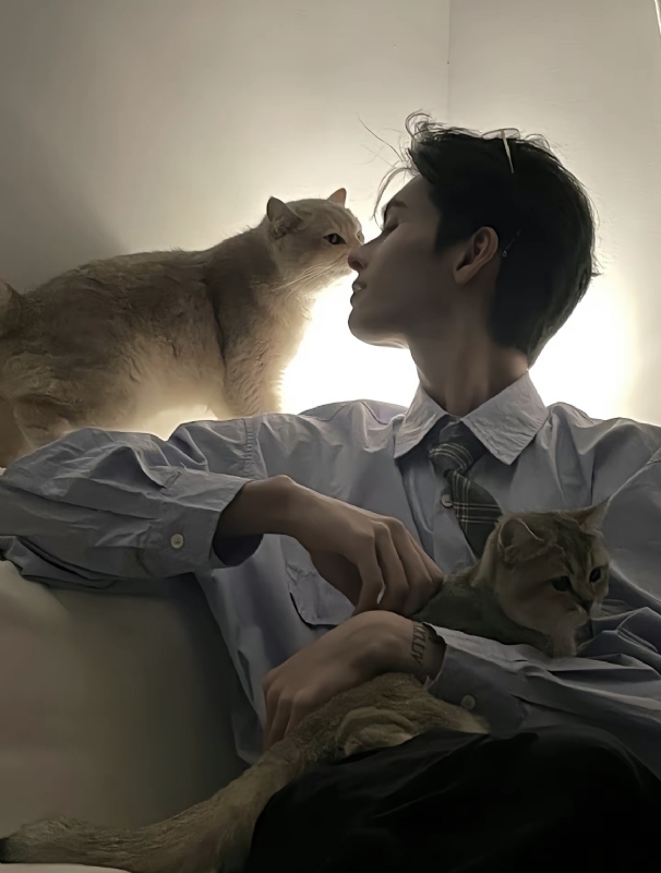 怪猫的第一张照片--武平相亲网